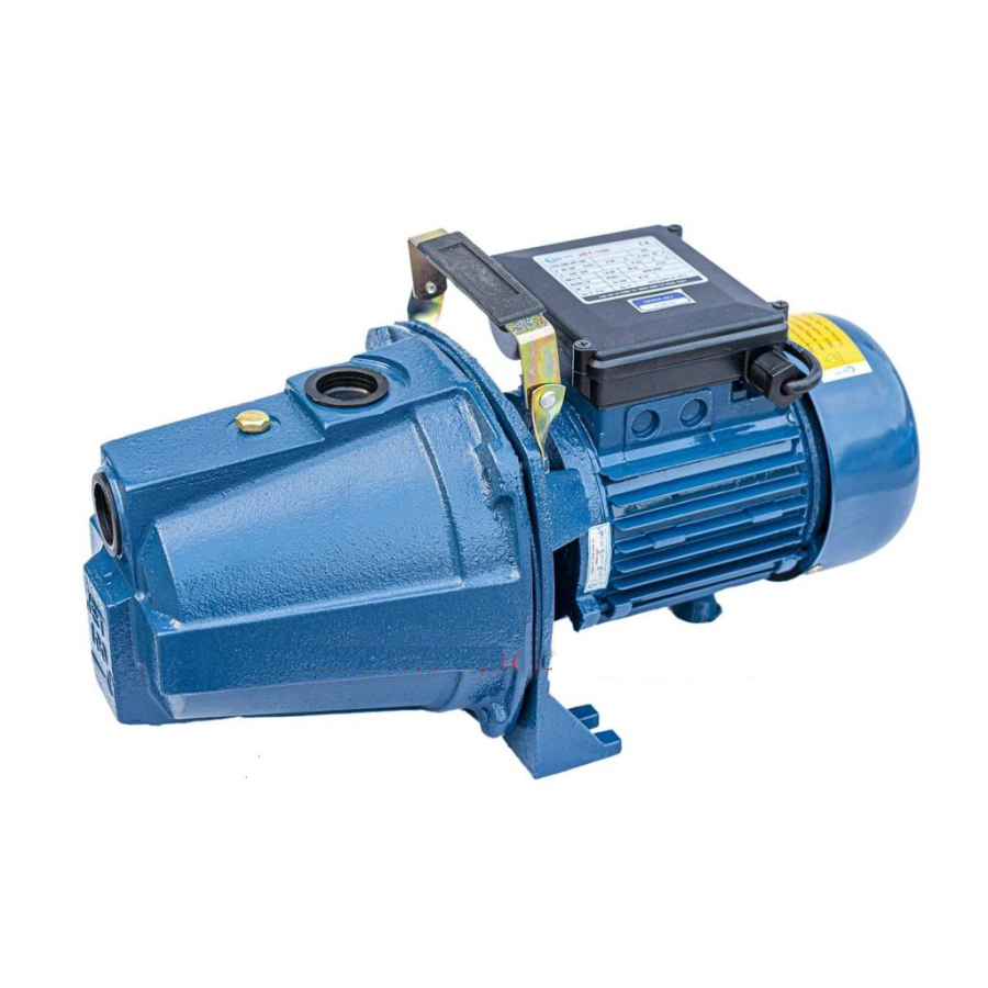 Máy bơm nước đầu lợn JET 100 (750w)